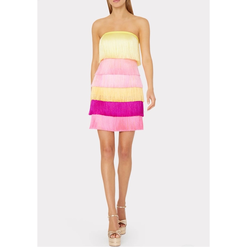 Milly Nuoir Ombre Fringe Dress. Size 6. New with tags